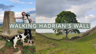 Hiking the Hadrians Wall Path with my Dog  My Guide [upl. by Welch]