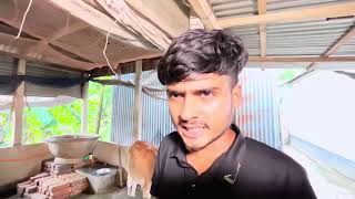 গরু কিনার আগে দালাল হইতে সাবধান  Stylox Vai Twist  New Funny Video 2024 [upl. by Aicat]