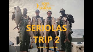 CHASSE SOUS MARINE  SERIOLA TRIP 2  MAJCAAM  BOYS OF DAKAR  Ep268 [upl. by Wellington]