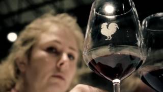 Chianti Classico Collection 2017  Official Trailer [upl. by Aikaj]