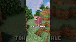 Tiger gaming video 321 minecraft [upl. by Dara]