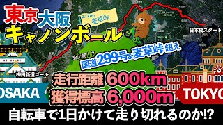 自転車で2127mの麦草峠を超えて東京から大阪に１日でたどり着けるのか試してみた【東京大阪キャノンボールR299麦草峠超え】 [upl. by Sirahc372]