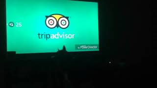 Dog going cray Cray over TripAdvisor and XYZAL commercial [upl. by Knute809]