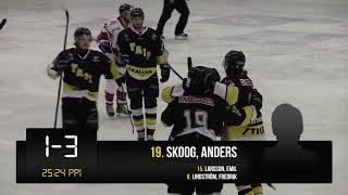 Highlights Tranås AIF  Nybro Vikings 23  Hockeyettan Södra 1617  20161019 [upl. by Ros]