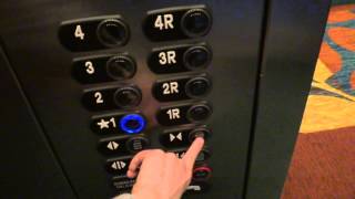 ThyssenKrupp Signa4 Hydraulic Service Elevator at Residence Inn by Marriott in Katy TX [upl. by Aled]