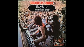 MUNGO JERRY  BABY JUMP  1971 [upl. by Dnivra]