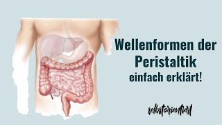 Wellenformen der Peristaltik einfach erklärt  Retropulsion  Segmentationen  Definition Sphincter [upl. by Ruscher]