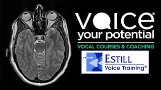 Estill Voice Training with Voice Your Potential [upl. by Syverson]