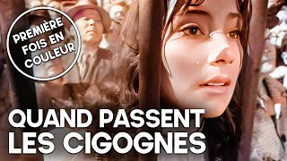 Quand passent les cigognes  Film classique colorisé [upl. by Harol]