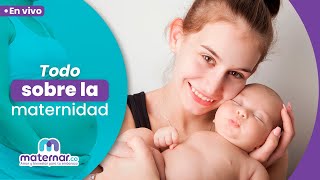 EN VIVO ¿Dudas sobre la maternidad Aquí está todo lo que debes saber  Maternarco [upl. by Lean]