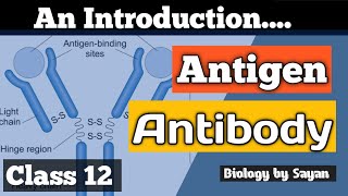 AntigenAntibody Basic intro Class 12 NEET [upl. by Eenimod]