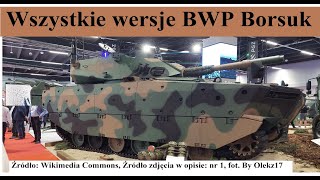 Wszystkie wersje BWP Borsuka [upl. by Bhatt944]