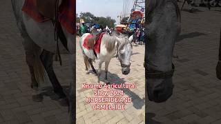 HOW WONDERFUL KISUMU AGRICULTURAL SHOW 2024 WAS horseride camelride kisumucity [upl. by Yetta]