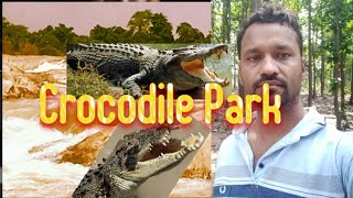 Orissa travel vlog  Jashipur crocodile park  Solo travel vlog  ମୁଁ traveller ♥️ [upl. by Hertzfeld836]