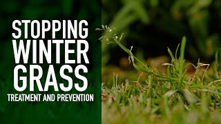 How Do I Stop Pesky Winter Grass  Treatment amp Prevention of Poa annua Winter Grass in Your Lawn [upl. by Eicyaj]