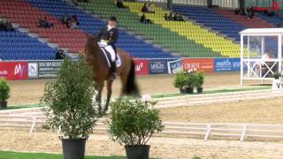 Isabell Werth  Don Johnson  Grand Prix  MaimarktTurnier [upl. by Charleen992]