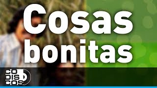 Cosas Bonitas Binomio De Oro  Audio [upl. by Plantagenet961]