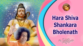 1243  Hara Shiva Shankara Bholenath Shirdipureeshwara Sai Nath  Sai Bhajan [upl. by Heffron]