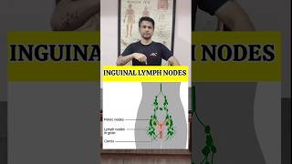 Best Exercise for Swollen Lymph Node in Groin Region Relief shorts tranding [upl. by Yendis581]