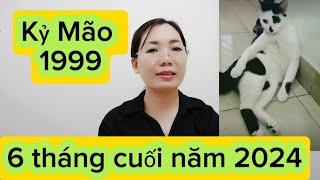 tuổi Kỷ Mão SN 1999  6 tháng cuối năm 2024 nam nữ [upl. by Ahseei]