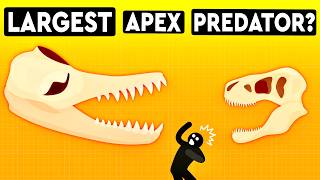 What’s The Largest Apex Predator To Have Ever Existed DEBUNKED [upl. by Christin]