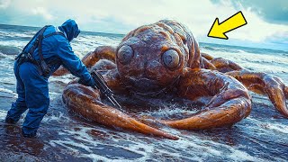 Ancient Creature Washes Up After Thousands of Years — Sailors Face the Scariest Ocean Mystery [upl. by Odlareg]