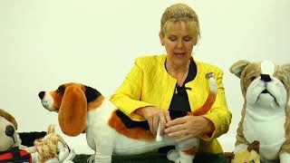 Bandaging Legs with The Pet Safety Crusader [upl. by Normi]