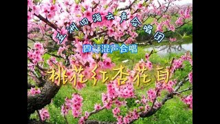 四部混声合唱：桃花红杏花白 SATB Choir  Peach Blossoms Red Apricots in White [upl. by Anazraf44]