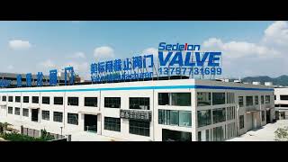 Sedelon Valve Lishui Factory [upl. by Frerichs]