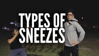 Types Of Sneezes [upl. by Alathia]