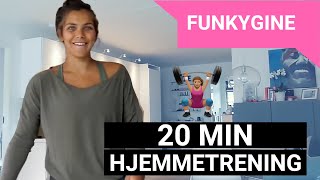 20 MIN ENKEL ØKT  FUNKYGINE [upl. by Vernen]