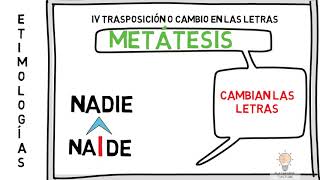 CAMBIOS EN LAS PALABRAS  Morfológicos  Fonéticos  Semánticos  ETIMOLOGÍAS GRECOLATINAS [upl. by Judus101]