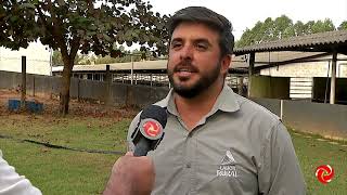 Produção de suínos e frangos no CentroOeste [upl. by Goldsworthy]