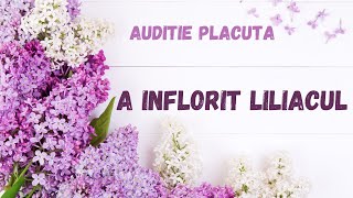 A inflorit liliacul carte integrala audio in timp realaudio book romana podcast audio [upl. by Tung]