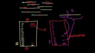 Modification interference assays [upl. by Worthington]