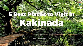 5 Best Places to Visit in Kakinada  Kakinada Tourist Places  Telugu Bucket [upl. by Aizirtap]