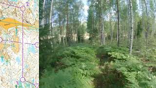 WMOC 2024 forest qualification M351  Orienteering Headcam video [upl. by Kuebbing]