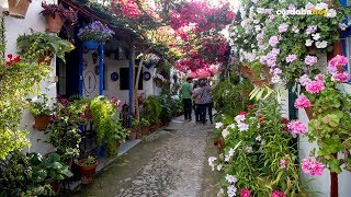 Córdobahoy  Patios de Córdoba 2018 [upl. by Damalus734]