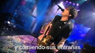 Blink182 i miss you  live en español [upl. by Annaehr]