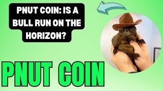 PNUT COIN UPDATE IN HINDI  PNUT COIN BUY OR SELL [upl. by Assylla413]