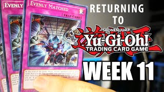 Returning to YuGiOh This Card Wins Games  Regionals A YuGiOh Challenge Episode 11 [upl. by Baptlsta317]