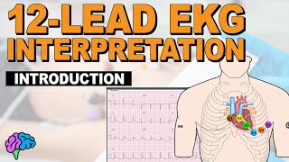 Introduction to Concepts of 12Lead EKG Interpretation [upl. by Oicnerual]