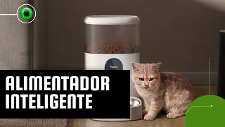 Alimentador inteligente libera ração para pets em horários agendados [upl. by Attennod]