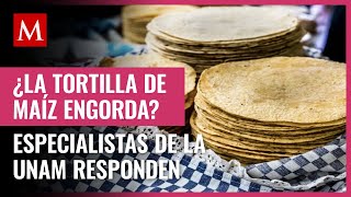 ¿La tortilla de maíz engorda Especialistas de la UNAM responden [upl. by Irual809]