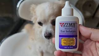 HONEST review of ZYMOX Enzymatic Ear Solution for Dogs [upl. by Annaek]