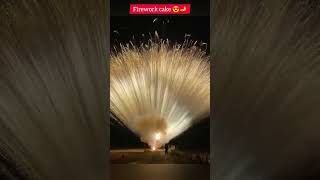 Amazing firework 💥 cake short [upl. by Franny]