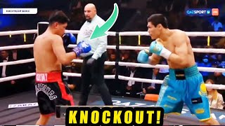 BREAKING JOE NOYNAY vs DANIYAR YELEUSSINOV KNOCKOUT FIGHT HIGHLIGHTS [upl. by Assert]