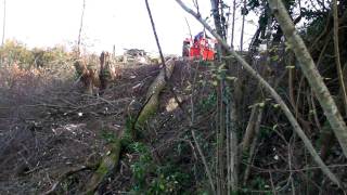 Treuil forestier artisannal en action de débardage de grume [upl. by Cypro]