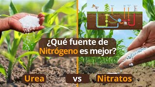 🌽 ¿Cuál es el Mejor  Urea vs Nitratos  Ciclo Del Nitrógeno  Rentabilidad del Campo [upl. by Skelly730]