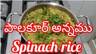 spinach rice recipe  healthy and tasty  easy recipe  Anuradha raghuveer [upl. by Bernat867]